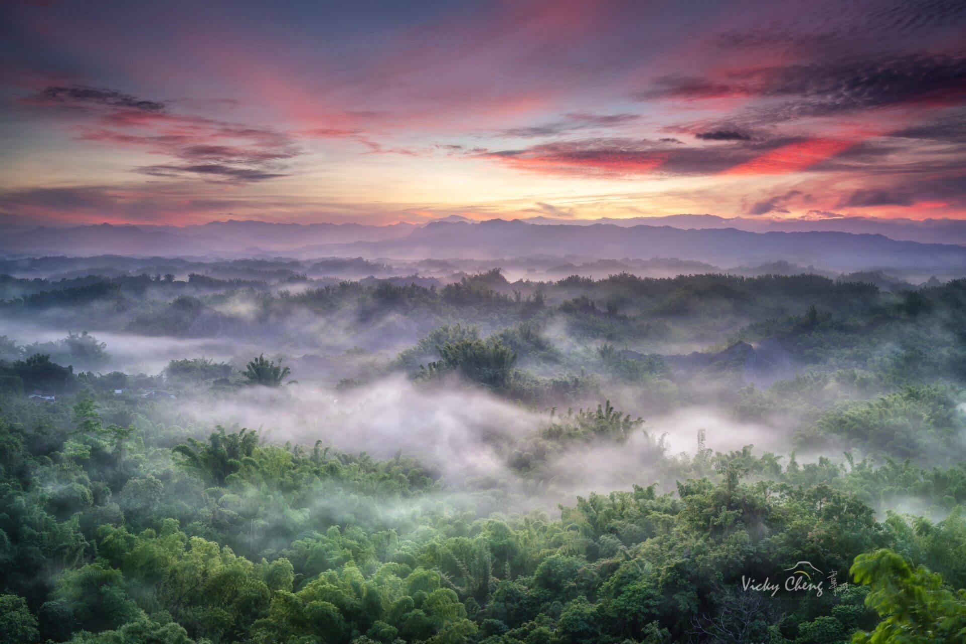 台南二寮日出、生命之樹夕陽、嘉義甜根子草火車攝影二日團（已結束，歡迎客制化包團）