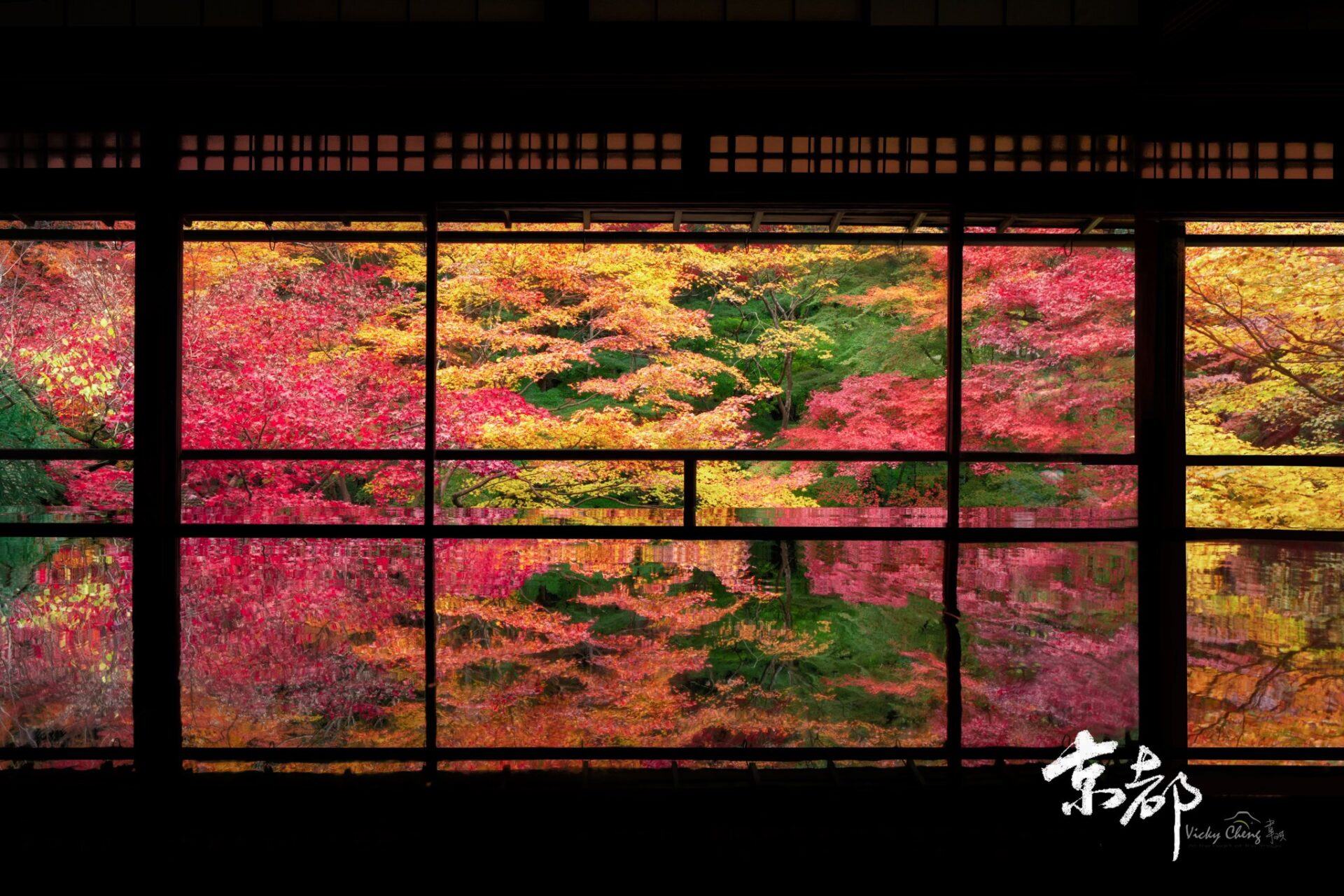 《唯奇攝影探索》2024日本關西楓葉攝影5日  京都、奈良、琵琶湖（2024已結束，歡迎客制化包團）