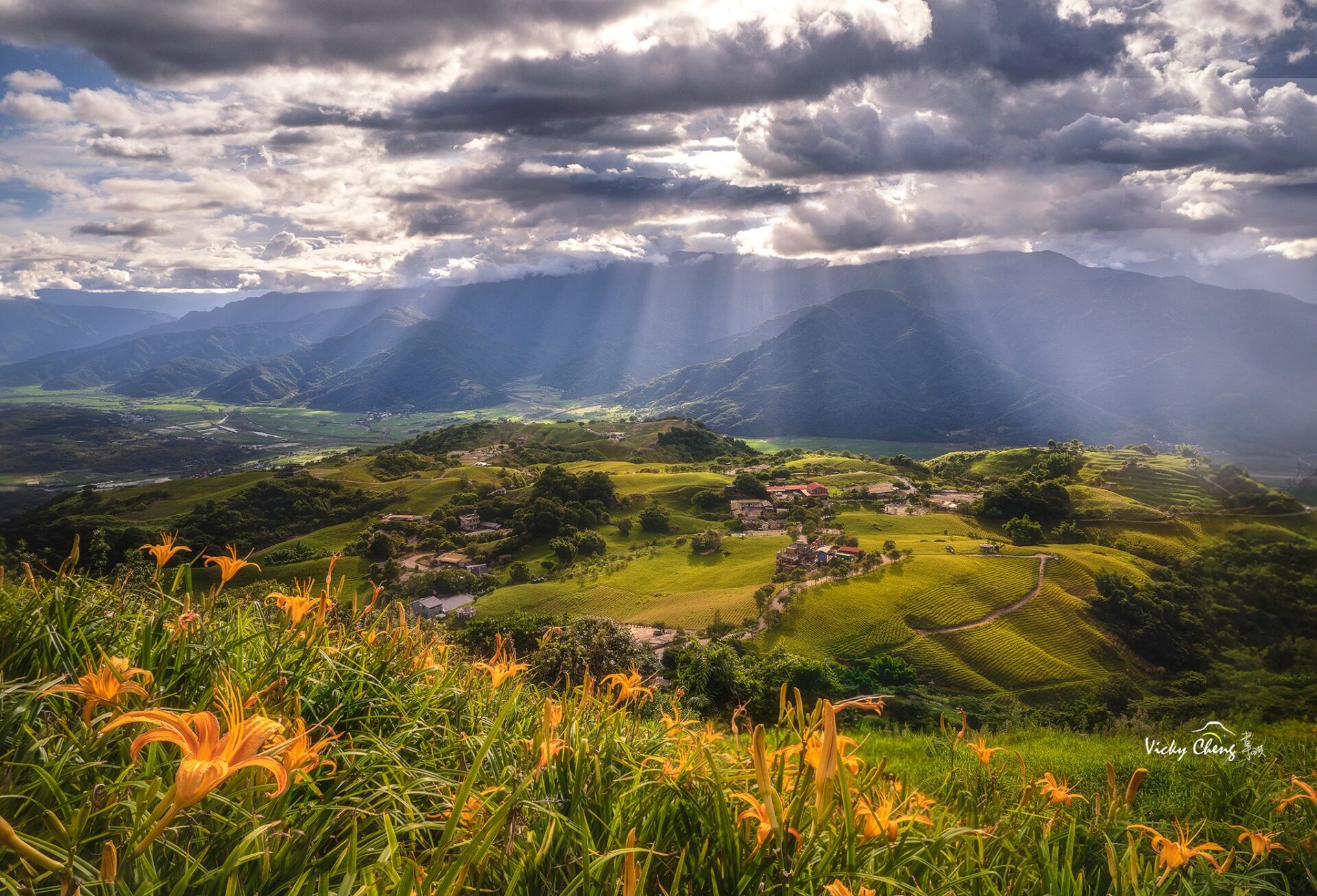 花蓮六十石山、赤科山  金針花海、晨昏星空攝影三日（已結束，歡迎客制化包團）