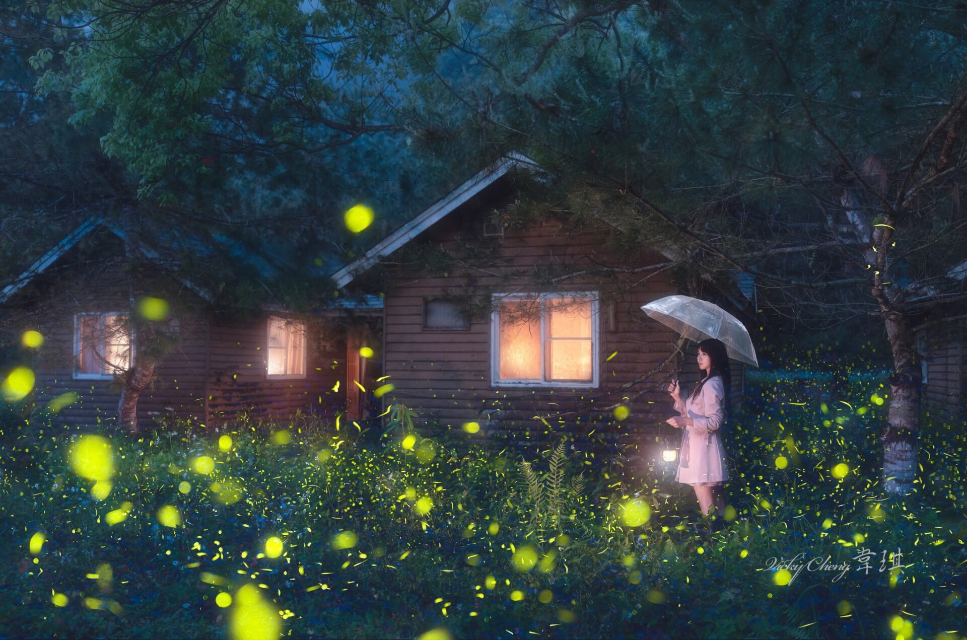 南投鹿谷水淹路廢棄民宿  爆紅的木造小屋、螢火蟲絕美搭配！